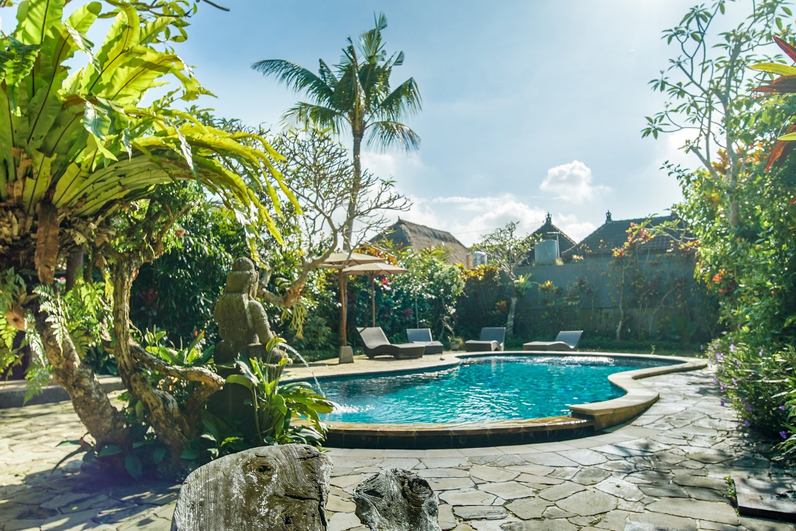 Sujati Swimming Pool