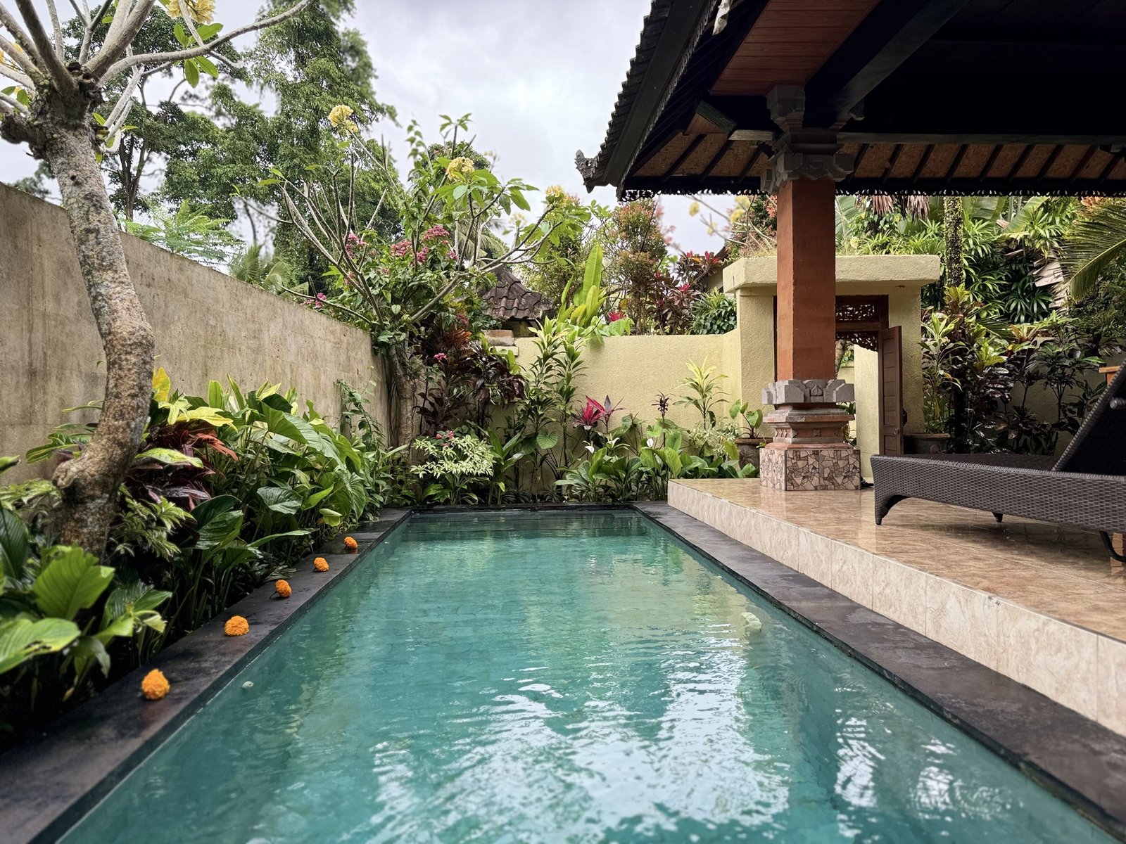 Tropical Swimming Pool at Blue Lotus Ubud