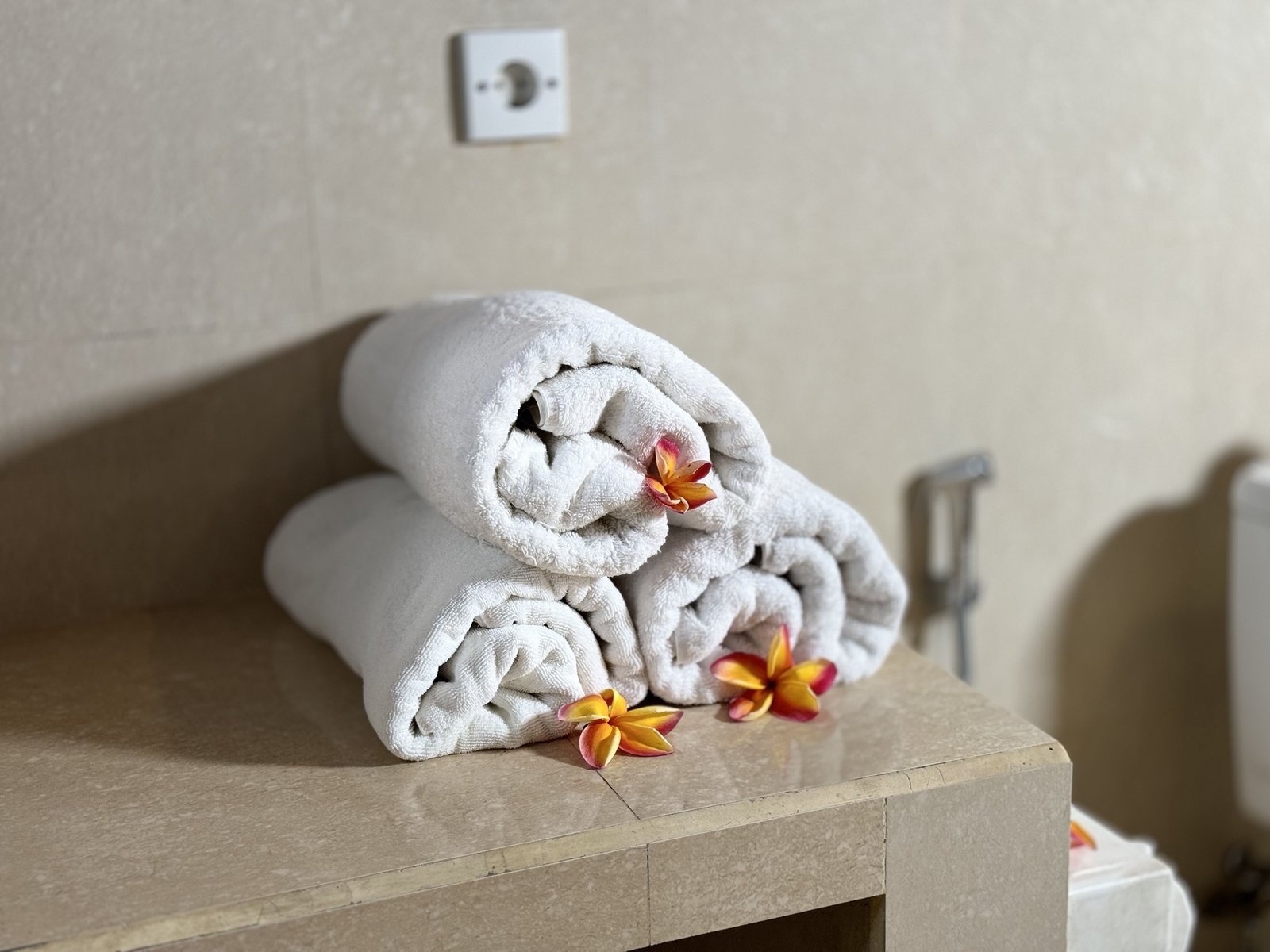 Villa Krishna Bathroom