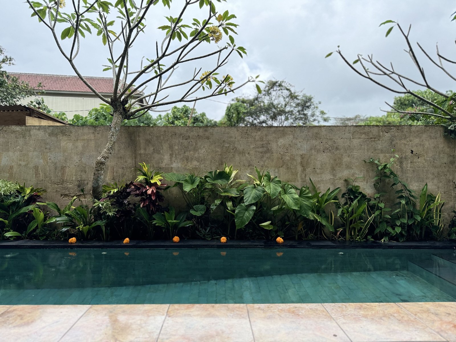 Tropical Swimming Pool at Blue Lotus Ubud