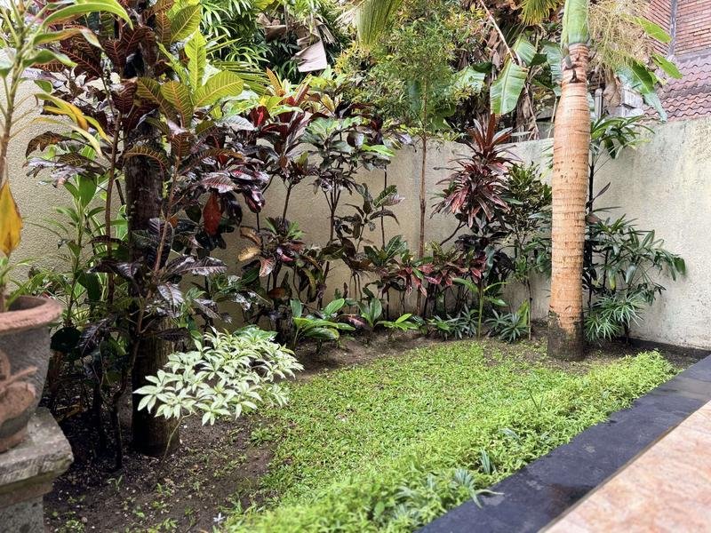 Small Garden at the corner of Blue Lotus Ubud