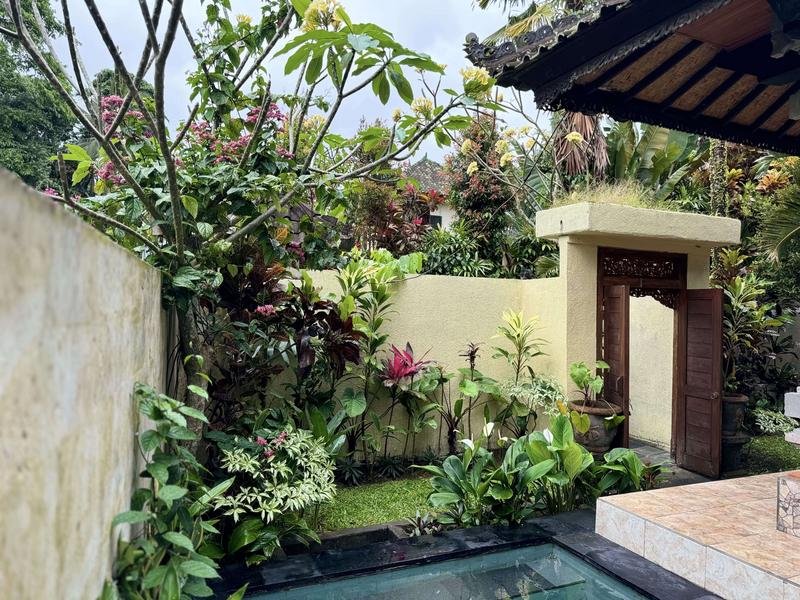 Small Garden at the corner of Blue Lotus Ubud