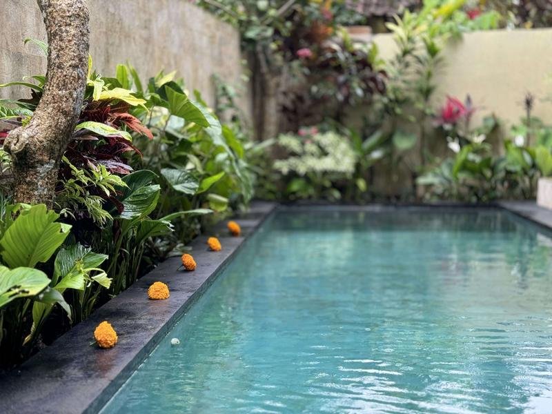 Tropical Swimming Pool at Blue Lotus Ubud